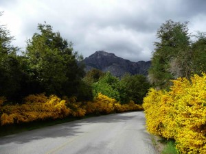 Argentina, Patagônia, estrada