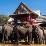 Tailândia, safari de elefante