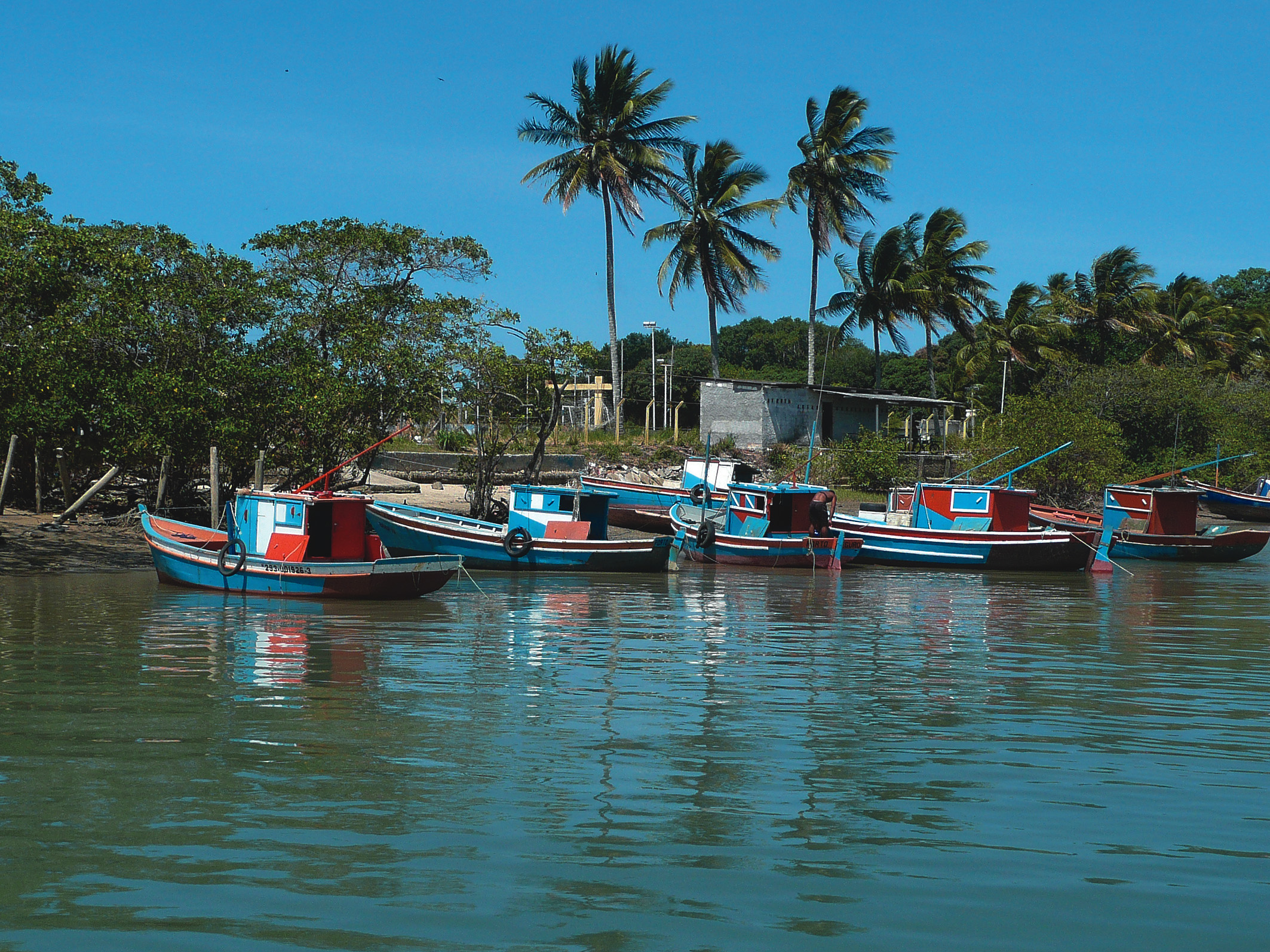 Caravelas  Bahia Turismo dicas viagem