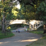 Central Park, New York