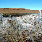 São Joaquim, Santa Catarina