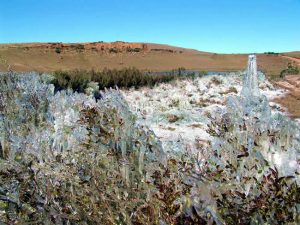 São Joaquim, Santa Catarina