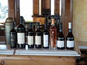 Os vinhos de São Joaquim, Santa Catarina