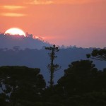 As belíssimas paisagens invernais da Serra do Rio do Rastro