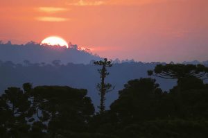 As belíssimas paisagens invernais da Serra do Rio do Rastro