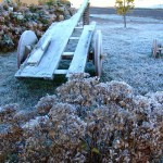 Geada na Serra Catarinense