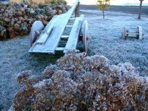 Geada na Serra Catarinense