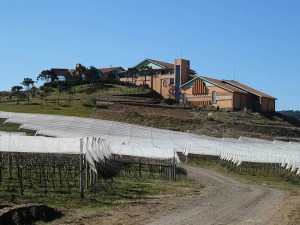 Vinícola em São Joaquim