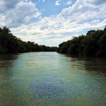 Pescando, na Argentina, Rio Paraná