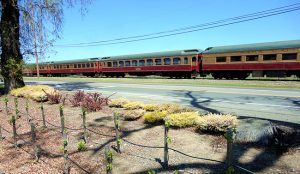 Trem de Napa Valley, California CCBY