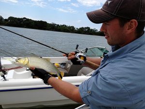 Pesca no rio Paraná, os peixes miudos