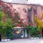 Matera, as cores do outono