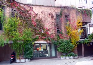 Matera, as cores do outono