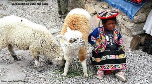 Menina índia, entre Arequipa e Chivay, Peru