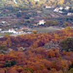 Alentejo em Portugal em novembro