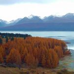 Outono na Nova Zelândia