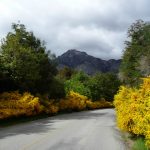 Estrada na Patagônia Andina, Argentina