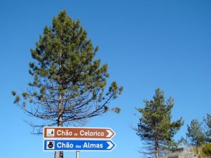 Placas rodoviárias em Portugal