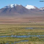 Deserto do Atacama - Chile