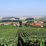 Vinhedos na Champagne - Foto: Curtis Foreman CCBY