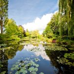 Les Nymphéas, Jardim de Claude Monet, Giverny Foto - Mat's eye CCBY