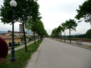 Lucca, alto das muralhas