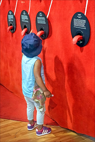 Musée de l'Homme, Paris Foto Jean-Pierre Dalbéra CCBY