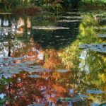 Reflexos do outono, Giverny - Photo Ariane Cauderlier