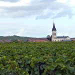 Vinhedos na Champagne, França