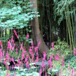 Jardim de Monet em Giverny - Foto Ffidber BBCY