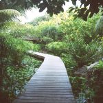 Jardim Aquático do Resort Orient Express