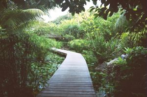 Jardim Aquático do Resort Orient Express