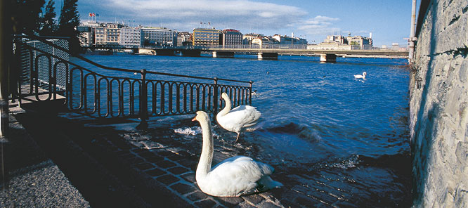 Genève - Foto Swiss Community.org