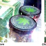 Maconha, vendida legalmente
